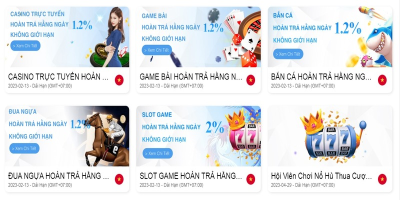 Nhà cái 6686 Biz đỉnh cao của đặt cược online