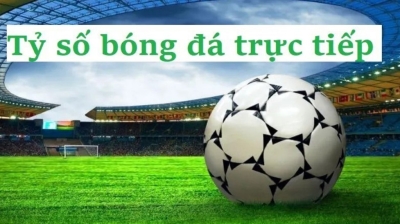 Tysobongda.art - Cập Nhật Tỷ Số Bóng Đá Nhanh Chóng, Đa Dạng
